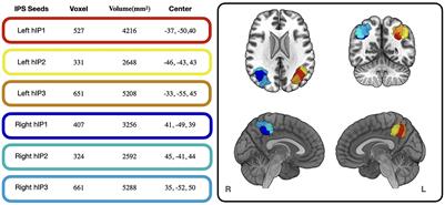 Systems-level decoding reveals the cognitive and behavioral profile of the human intraparietal sulcus